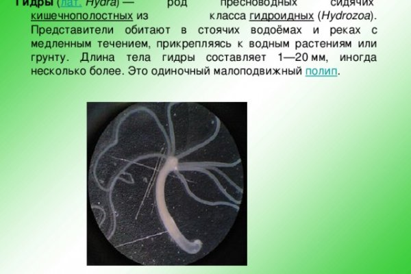 Как зайти на кракен kr2web in