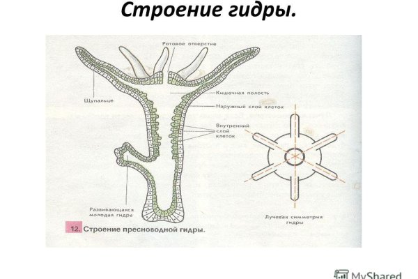 Кракен магазин kr2web in тор