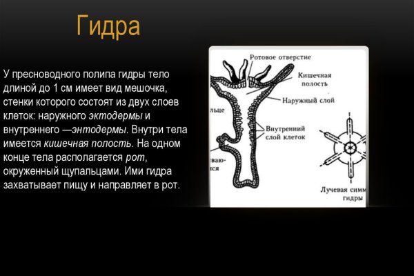 Не получается зайти на кракен