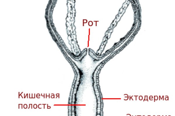 Кракен не работает сайт