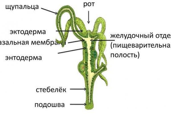 Кракен маркетплейс про