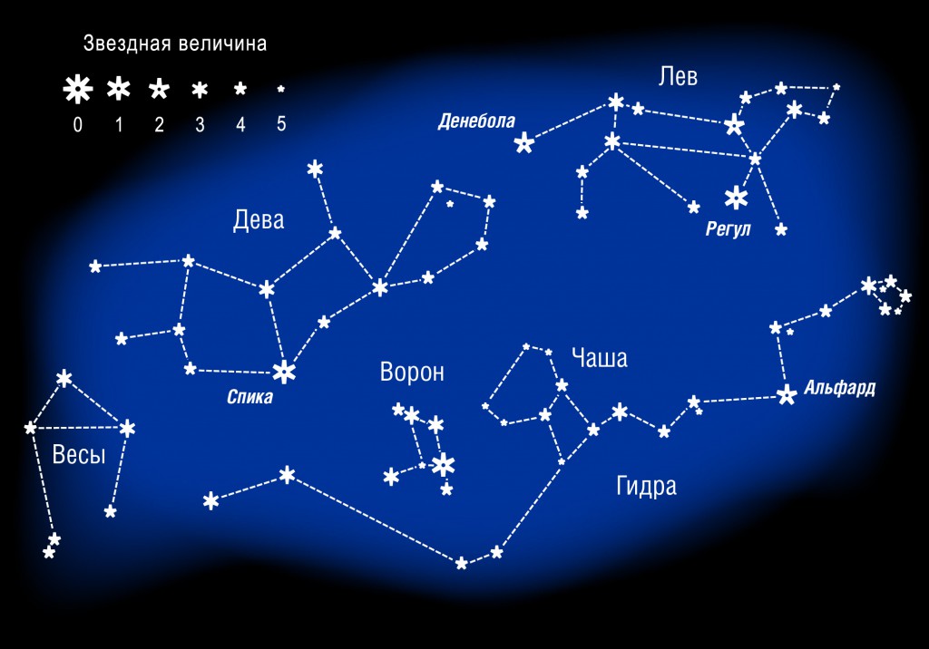 Как вывести деньги с кракена тор
